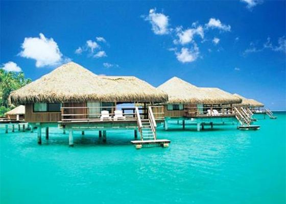 خانه‌های تزئین شده با چوب و سازه فولادی، کیت‌های خانه‌های پیش‌ساخته ویلایی